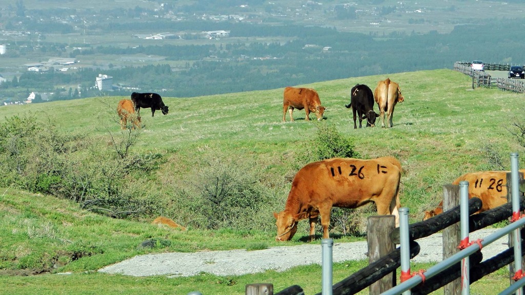 番号つけられちゃった。