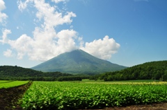 羊蹄山