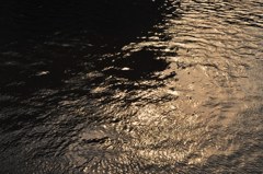 DSC_0021