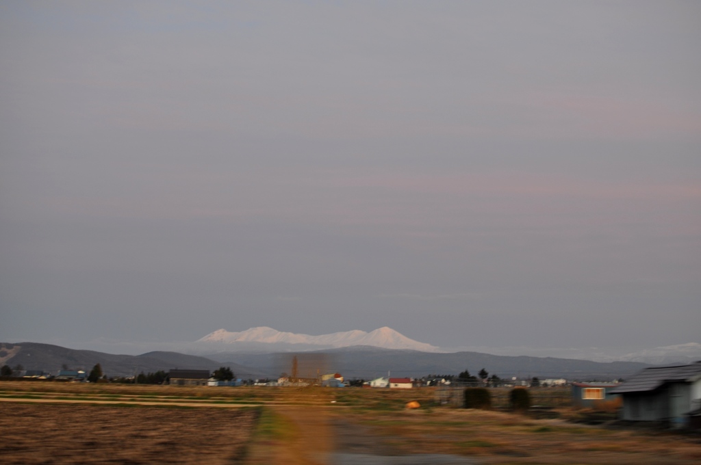 DSC_0503
