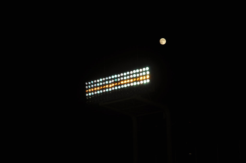 DSC_0266