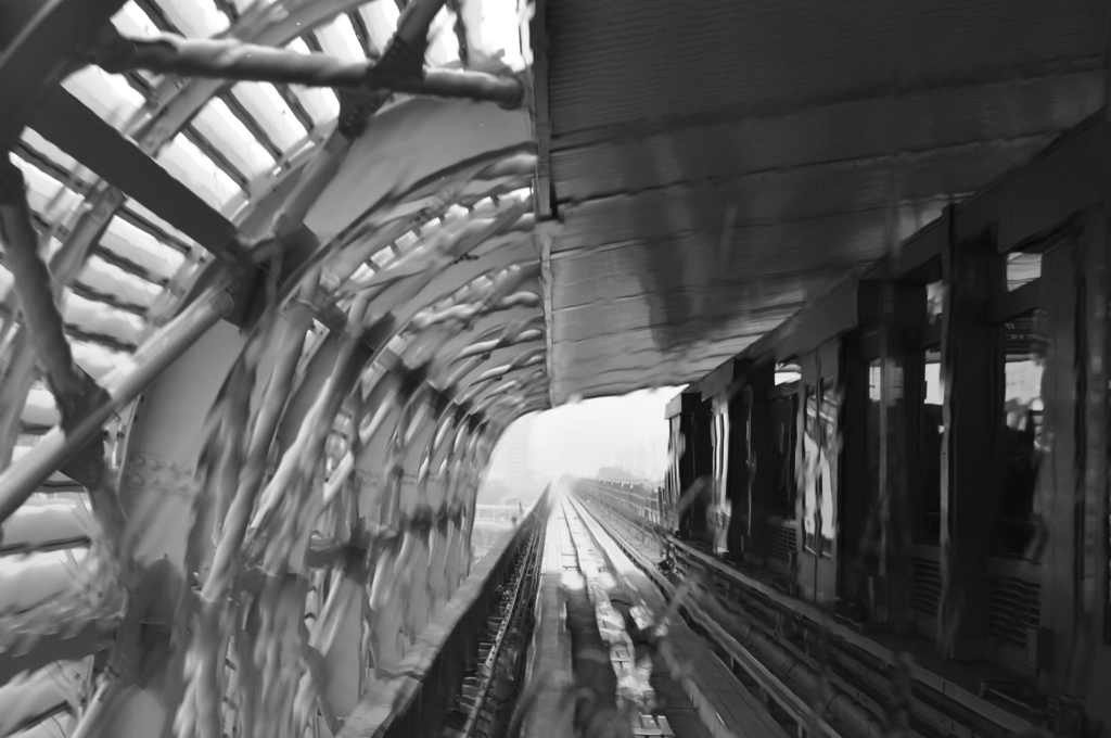 DSC_0173