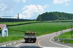 country road