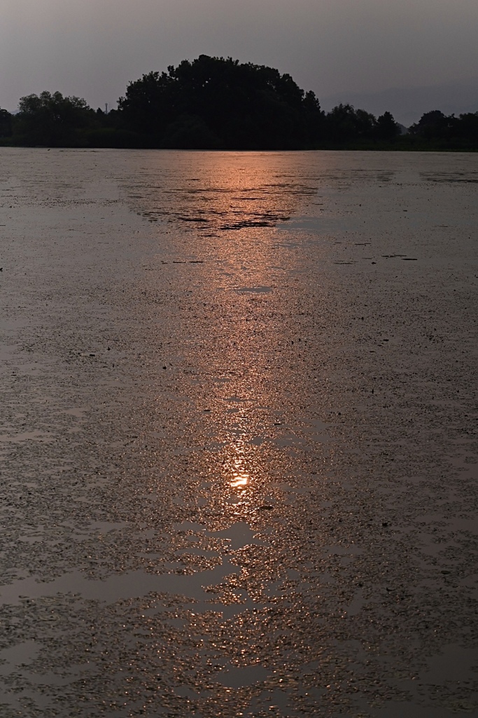 瓢湖の朝