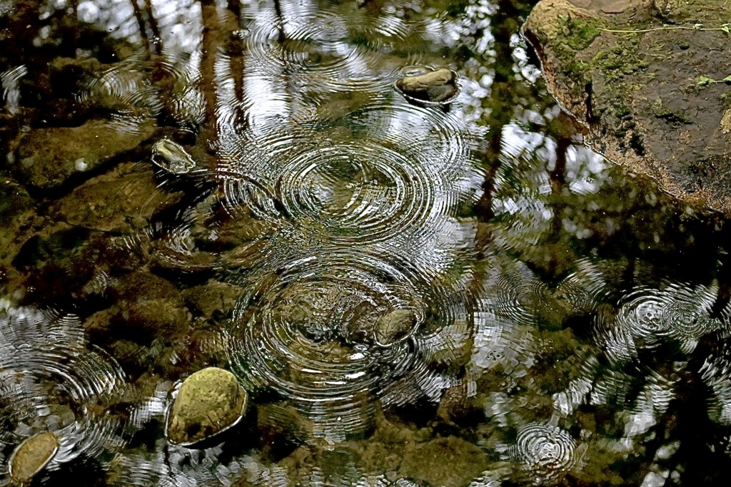 水波紋