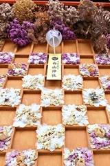 花市松