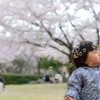 桜と娘とシャボン玉