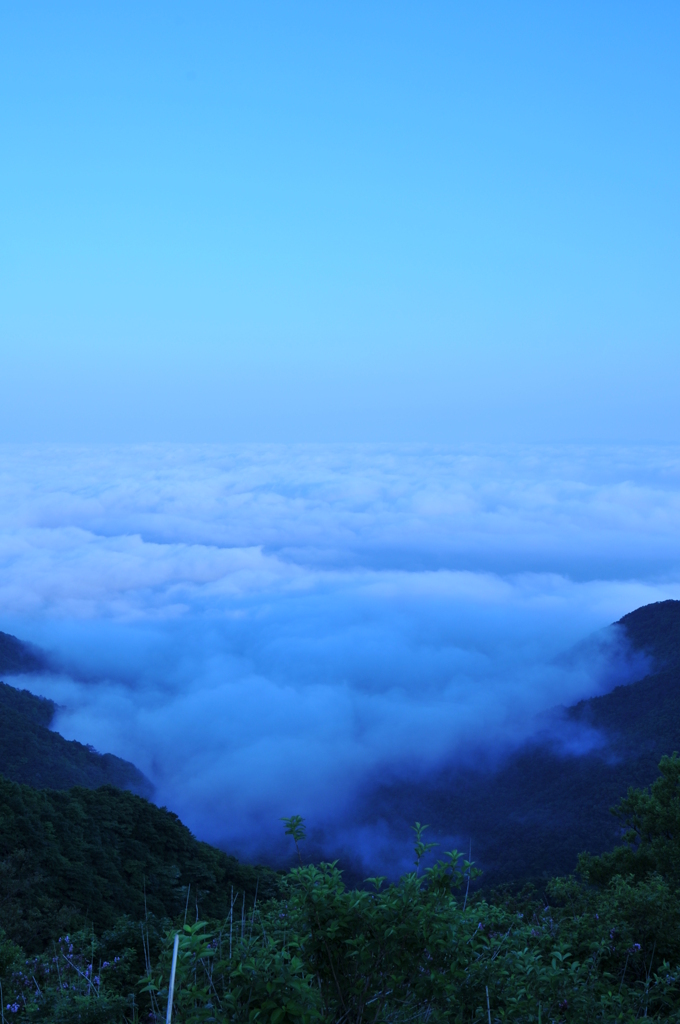 雲海