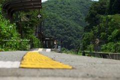 新緑への旅路