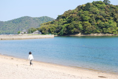 春の海岸