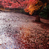 和心・紅葉