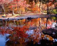 紅葉スケッチ　2013