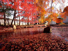 Beautiful JAPAN