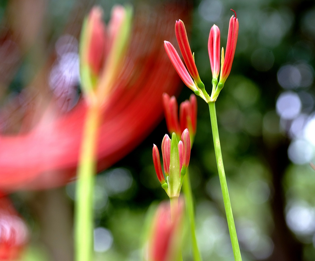 風に吹かれて。。