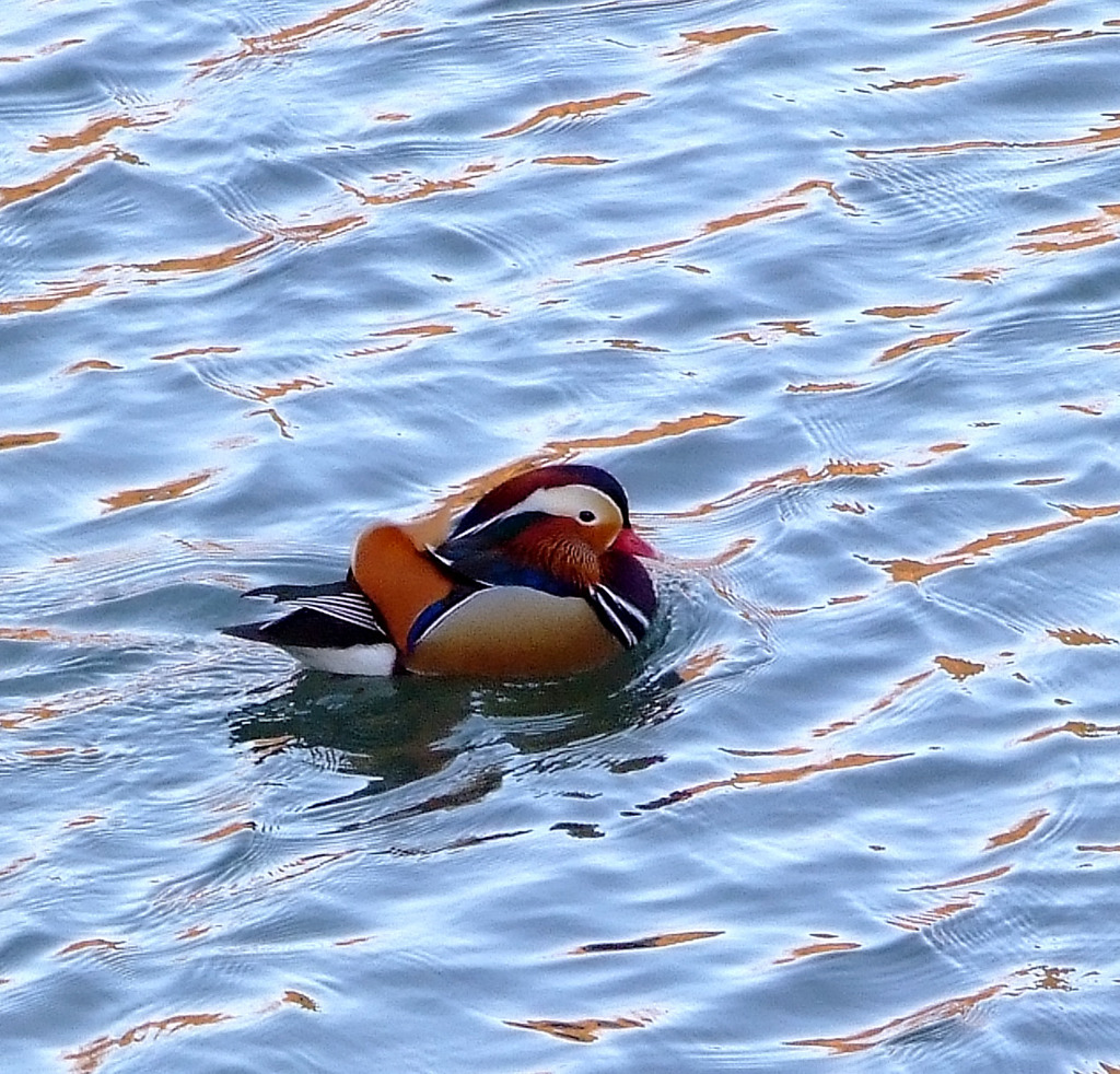 寒い朝に。。