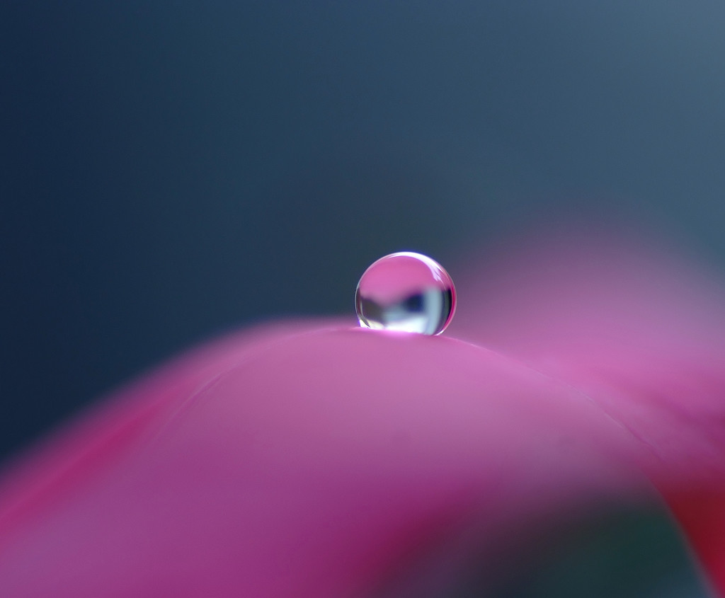 夏・雫（３）