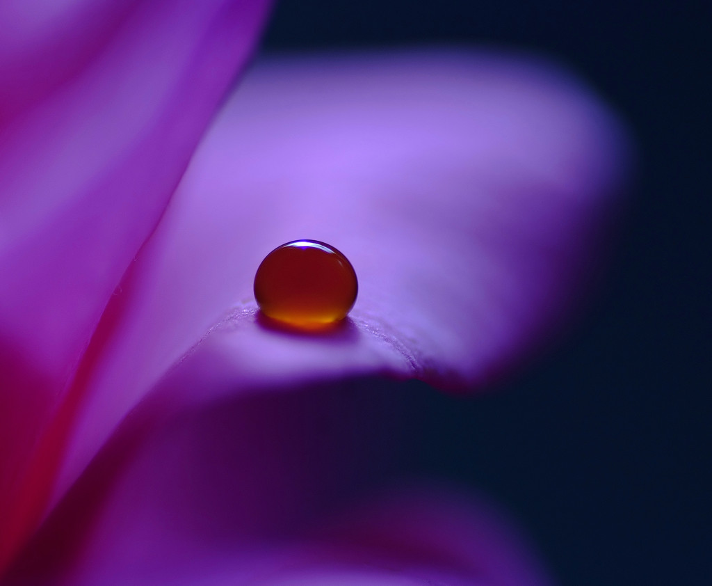 沈黙の雫