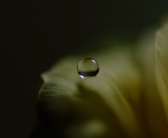 瞳・雫