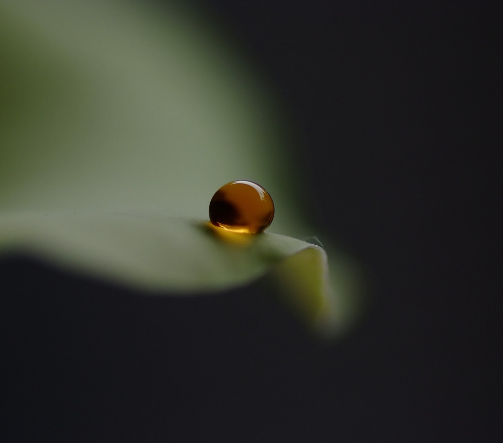 琥珀の世界（１）