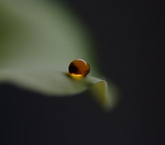 琥珀の世界（１）