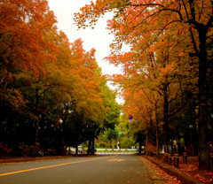 三色街道にて。