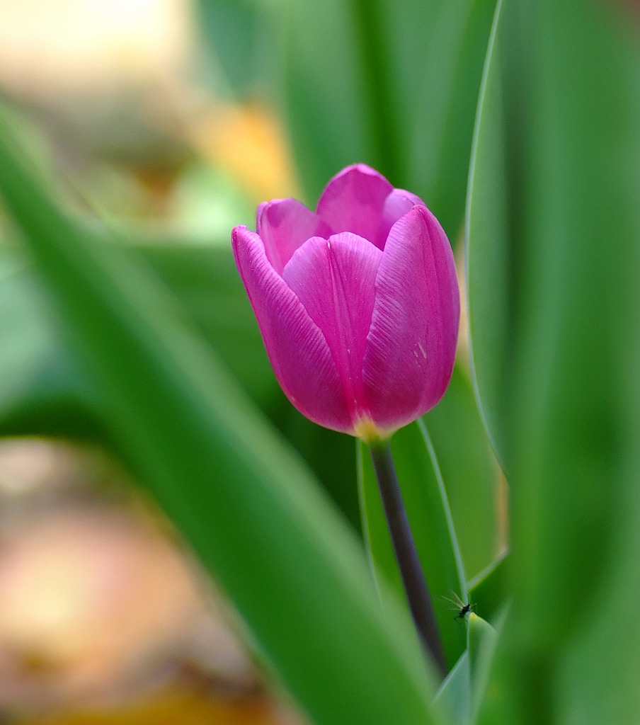 幸せな時間　３