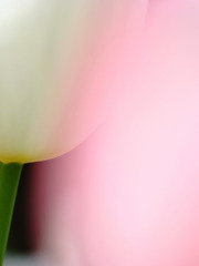 京都　絵日記　３