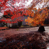 終焉・紅葉（2013）
