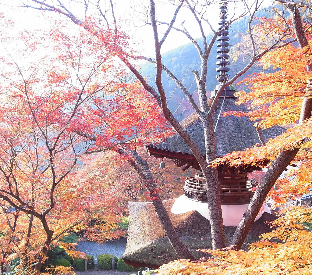 静寂・秋の気配