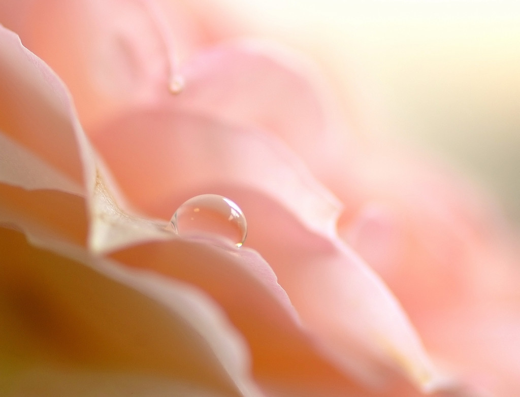 宝物　（１）