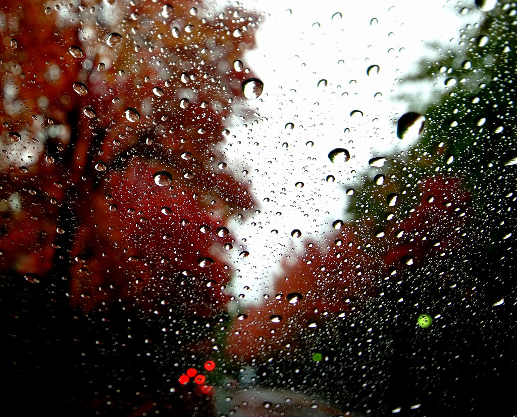 ガラス越しの紅葉。