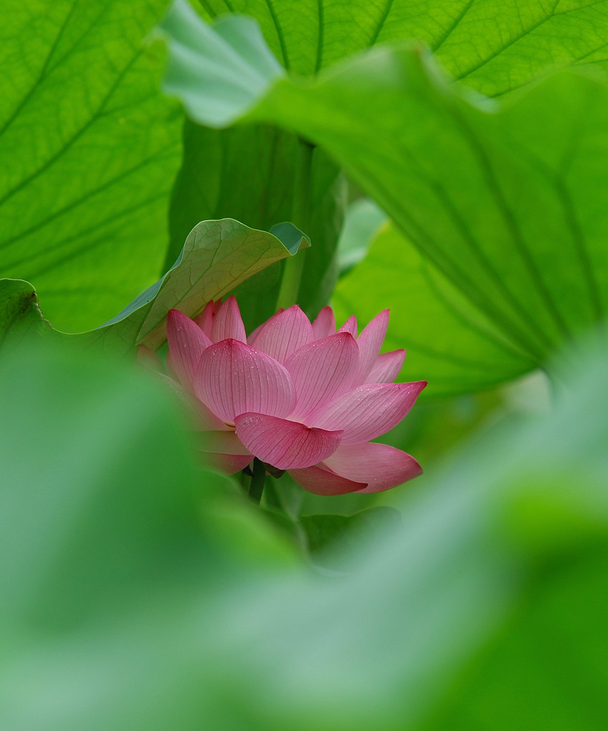そっと。。