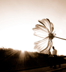 二人を見つめる。。