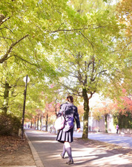 紅葉キャンパス（５）