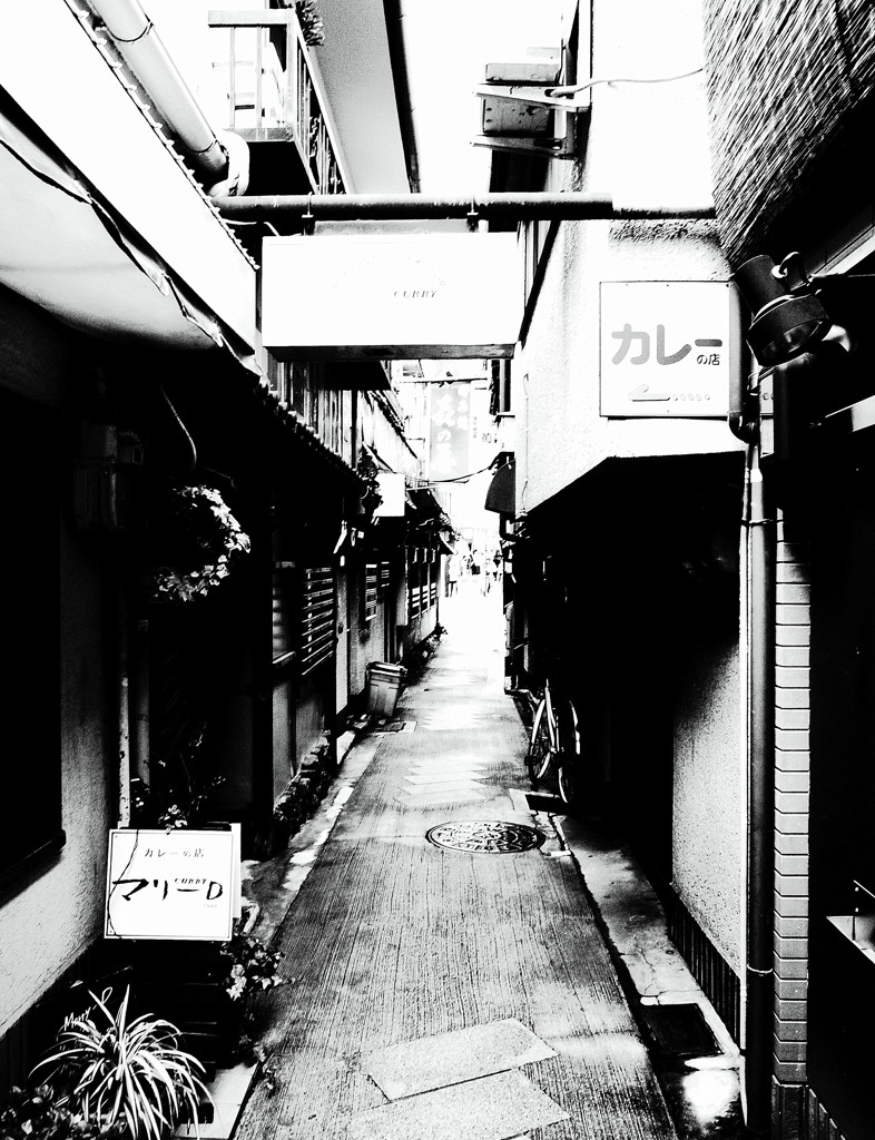 柳小路・2014