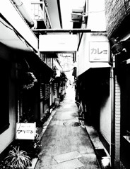 柳小路・2014