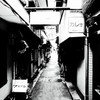 柳小路・2014