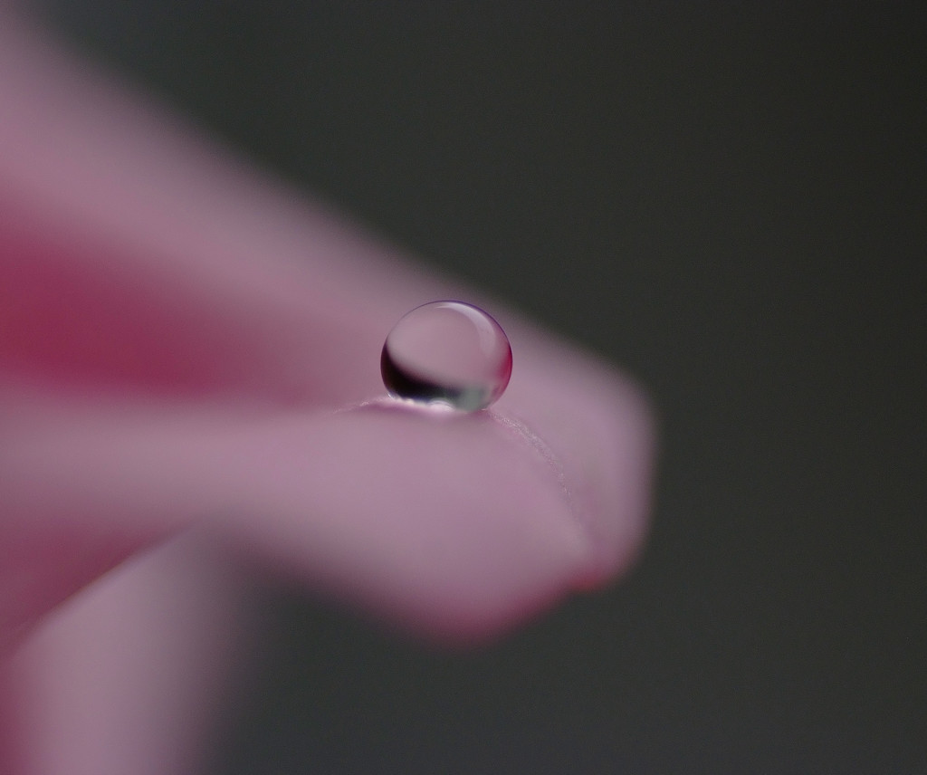 雫・２０１３（８）