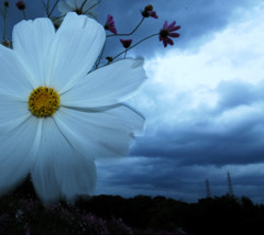 雲ときどき晴れ。。