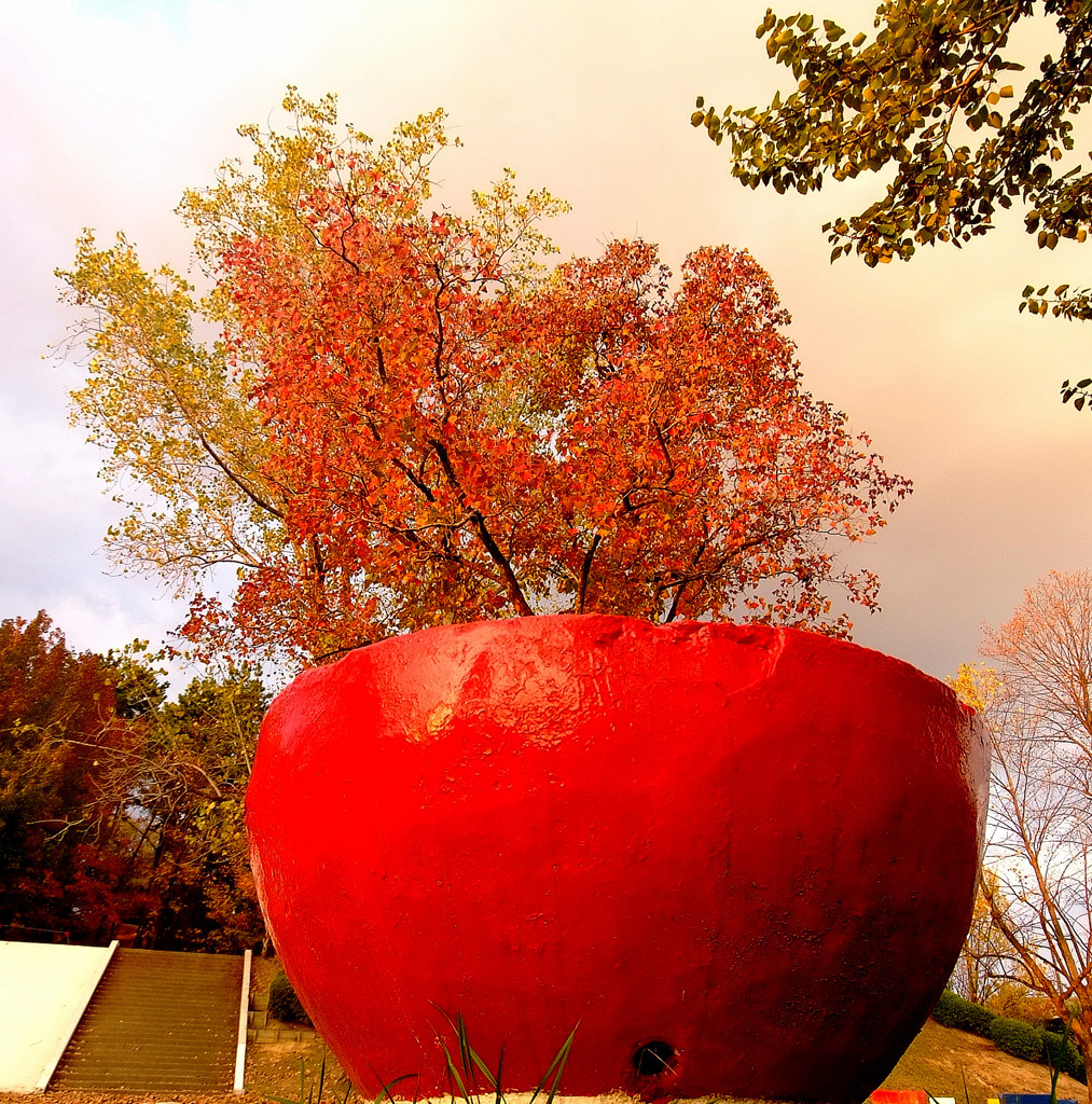 記念の一枚。。