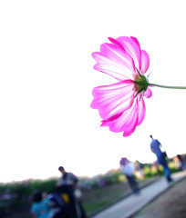 夕暮れ時に。。