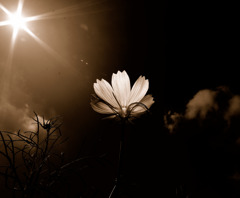 クロスステージへ　２