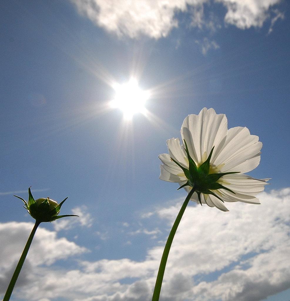 太陽の下で、、