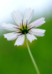 やわらかな日差し。。