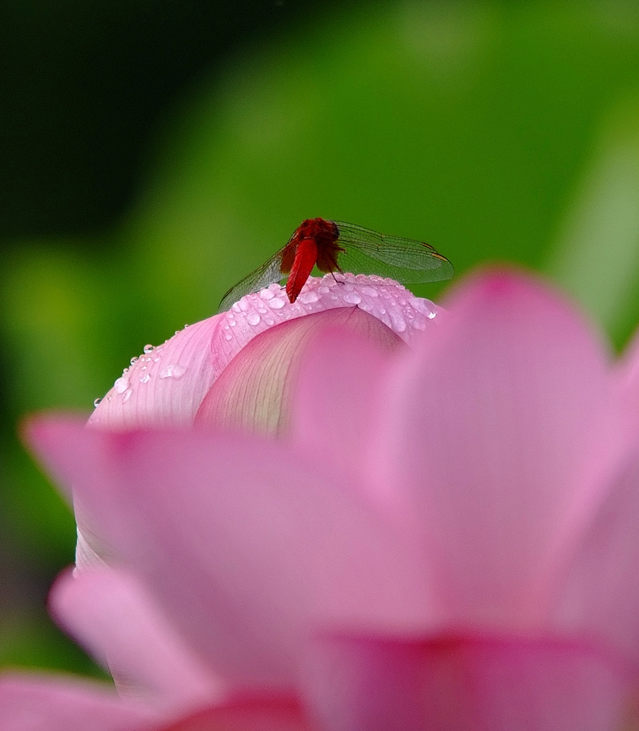 ちょっと休んでもいいですか？