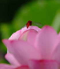 ちょっと休んでもいいですか？