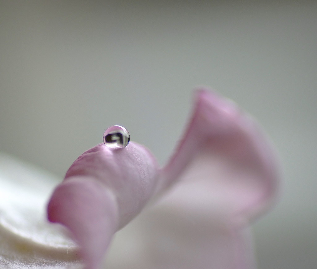 雫遊び　（３）