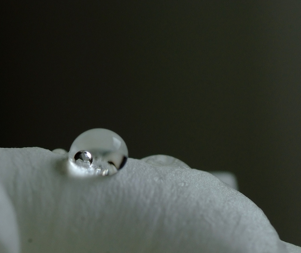 雫研究所通信　１