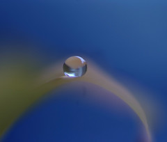 蒼の時・雫