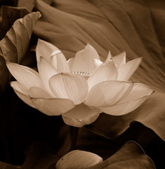 現在・過去・未来